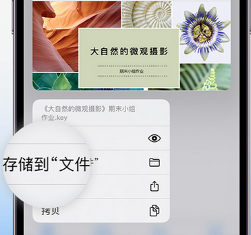 玉门apple维修中心分享iPhone文件应用中存储和找到下载文件