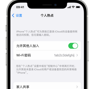 玉门apple服务站点分享iPhone上个人热点丢失了怎么办 