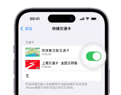 玉门apple维修点分享iPhone上更换Apple Pay快捷交通卡手绘卡面 