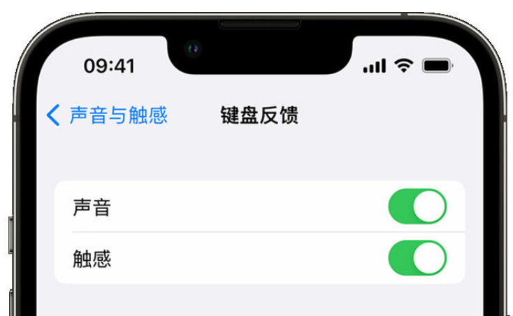 玉门苹果手机维修分享iPhone 14触感键盘使用方法 