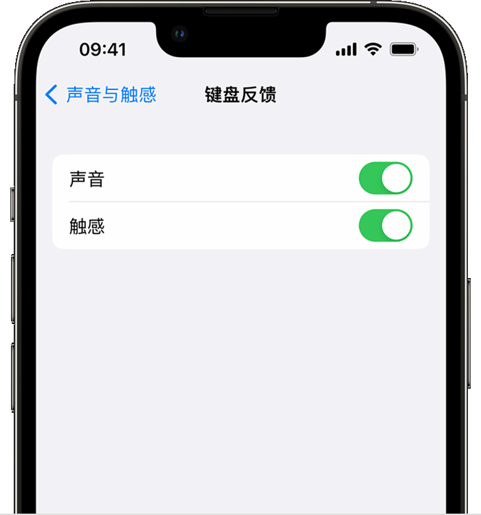 玉门苹果14维修店分享如何在 iPhone 14 机型中使用触感键盘 