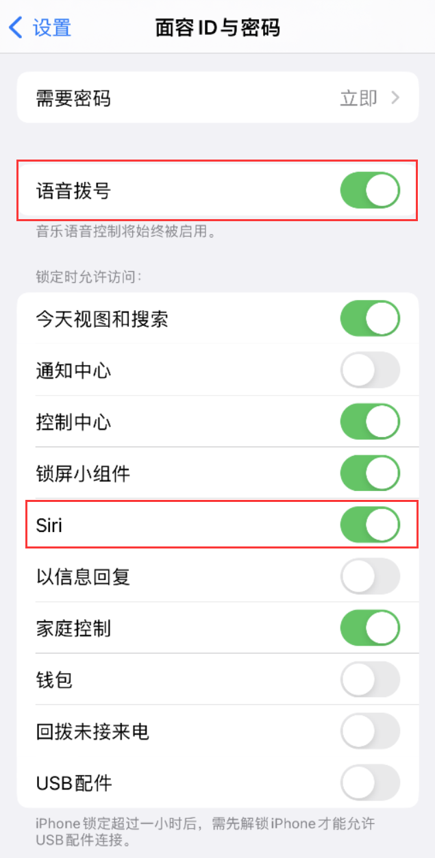 玉门苹果维修网点分享不解锁 iPhone 的情况下通过 Siri 拨打电话的方法 