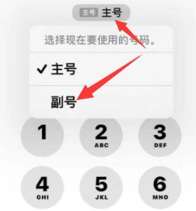 玉门苹果14维修店分享iPhone 14 Pro Max使用副卡打电话的方法 