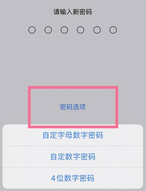 玉门苹果14维修分享iPhone 14plus设置密码的方法 