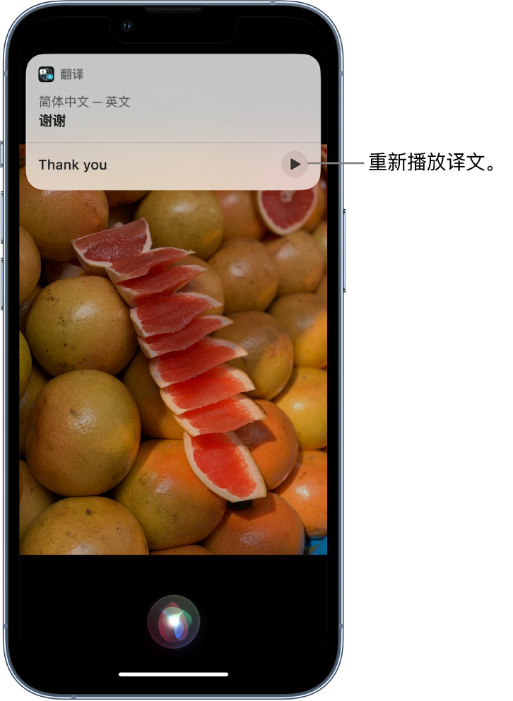 玉门苹果14维修分享 iPhone 14 机型中使用 Siri：了解 Siri 能帮你做什么 