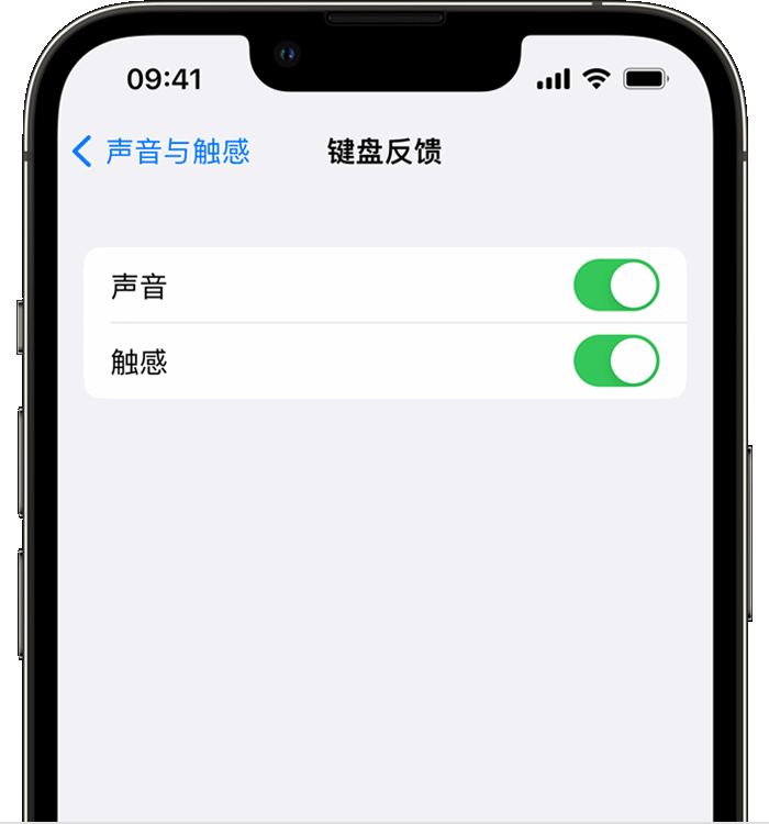 玉门苹果14维修分享iPhone 14 系列机型如何开启键盘声音或触感反馈 