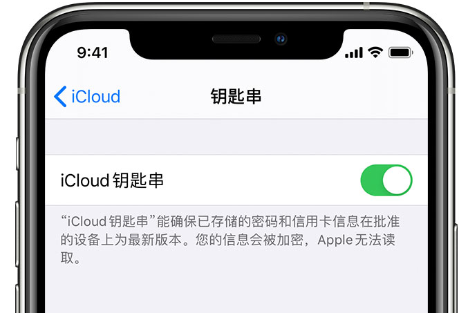 玉门苹果手机维修分享在 iPhone 上开启 iCloud 钥匙串之后会储存哪些信息 
