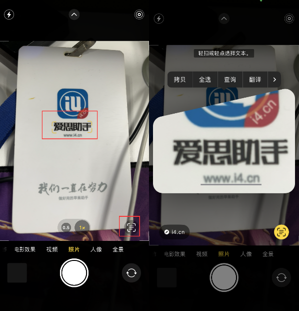 玉门苹果手机维修分享升级iOS 16后如何通过相机翻译文本 