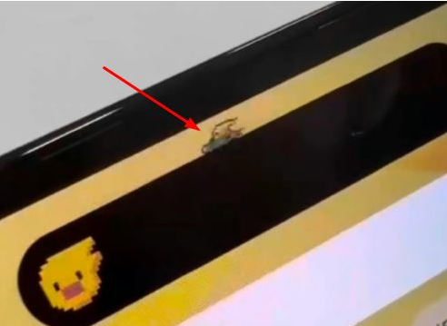 玉门苹果14维修分享iPhone 14 Pro Max灵动岛怎么养宠物 