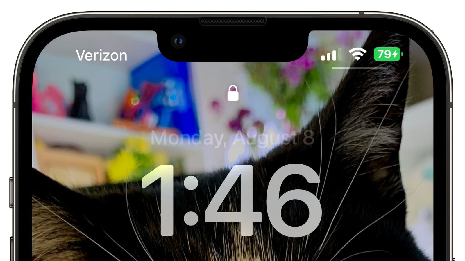 玉门苹果手机维修分享iOS 16 beta 5 支持状态栏显示电池百分比，如何开启？支持哪些机型 