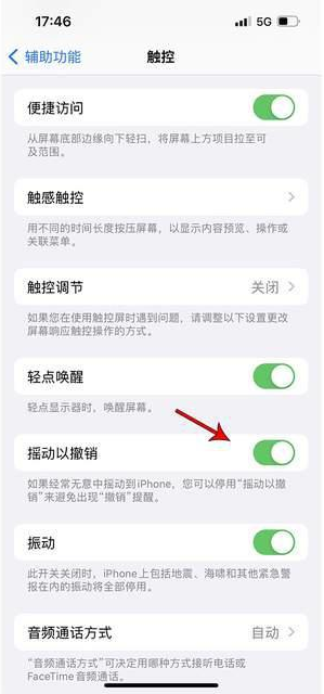 玉门苹果手机维修分享iPhone手机如何设置摇一摇删除文字 